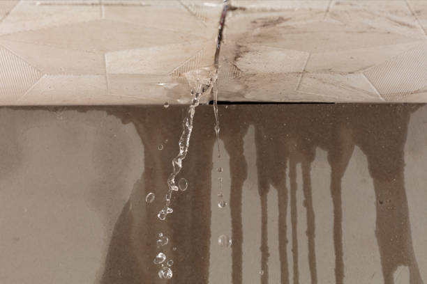 Professional Sewage Cleanup technician working in Fruitland, NC